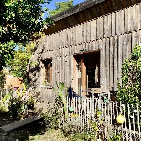 Maison En Bois A 40m Du Holiday home Lacanau